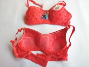 Jual Bh Busa Tipis Untuk Anak-Anak, jual miniset bra , jual miniset anak , jual miniset anak perempuan , jual bra sorex , jual kaos singlet, jual singlet wanita , jual kaus kutang, toko bra wanita, toko toko bra seksi , toko bra transparan 