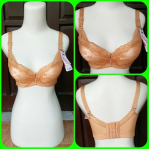 Grosir Bh bandung, Grosir Bh Big SIze, Grosir BH Bermerek, Grosir BH CD, Grsir Bh celana dalam, Grosir Bh Cantik, Grosir Bh China, Grosir Bh Cup Besar, Grosir Bra dan accelana dalam